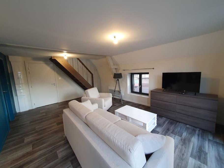 Appartement 2 Pieces Tout Confort, Aux Portes De Colmar Andolsheim Zewnętrze zdjęcie