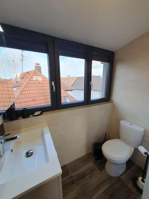 Appartement 2 Pieces Tout Confort, Aux Portes De Colmar Andolsheim Zewnętrze zdjęcie