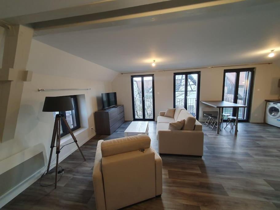 Appartement 2 Pieces Tout Confort, Aux Portes De Colmar Andolsheim Zewnętrze zdjęcie