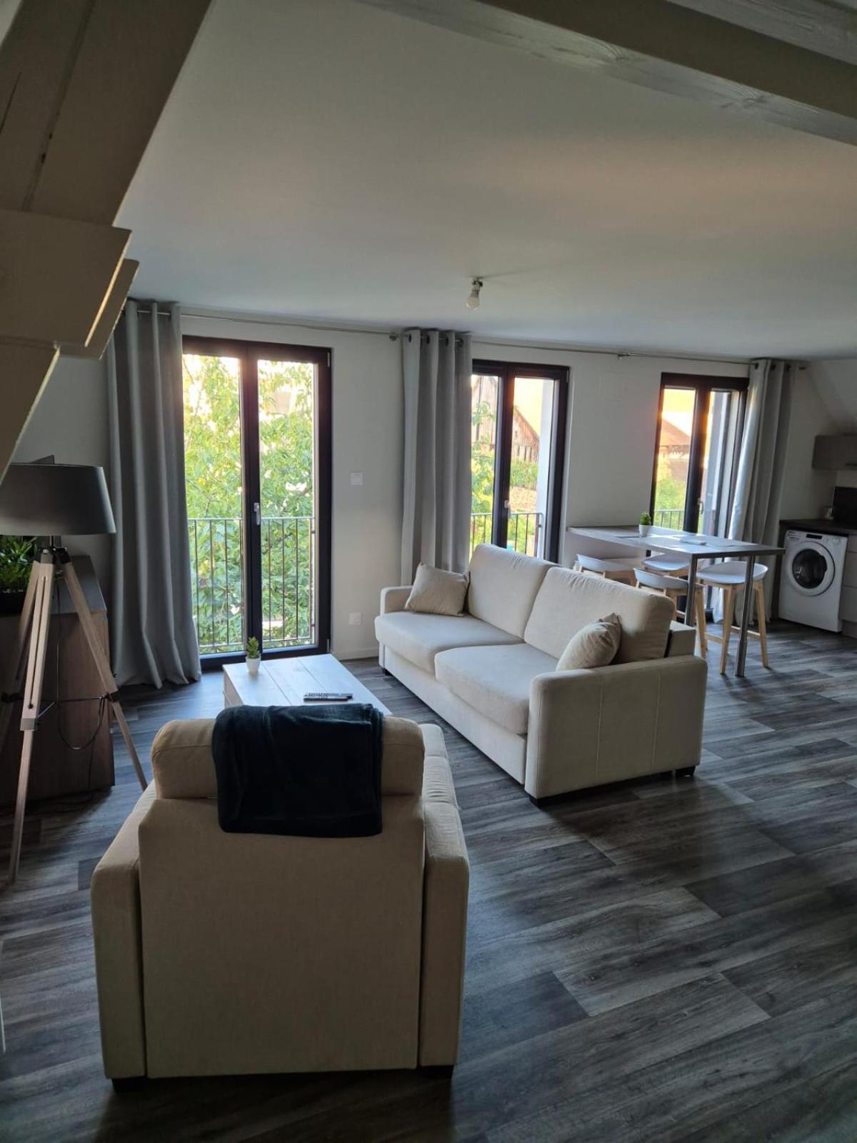 Appartement 2 Pieces Tout Confort, Aux Portes De Colmar Andolsheim Zewnętrze zdjęcie